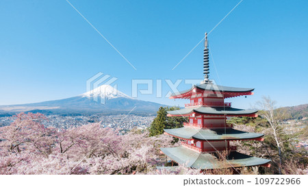 Arakurayama Sengen Park (spring) 109722966