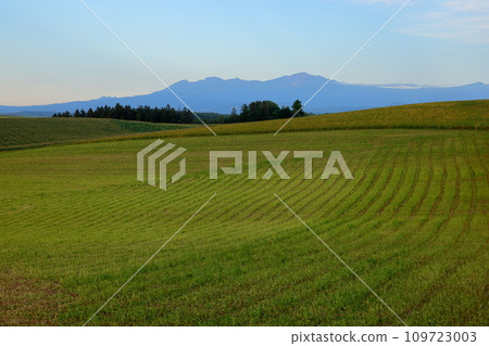 Scenery of fields and grasslands spread across the hilly area near Akamugi no Oka, Biei-cho, Kamikawa-gun, Hokkaido Scenery of fields and grasslands spread across the hilly area near Akamugi no Oka, Biei-cho, Kamikawa-gun, Hokkaido 109723003