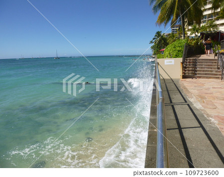 夏威夷的風景 夏威夷的風景 109723600