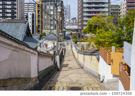 春天的大阪、櫻花和源聖寺（天王寺七坂） 109724308