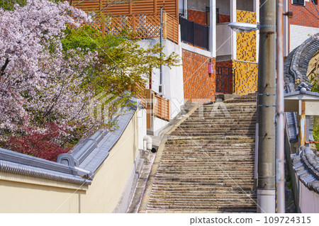 春天的大阪、櫻花和源聖寺(天王寺七坂) 春天的大阪、櫻花和源聖寺(天王寺七坂) 109724315