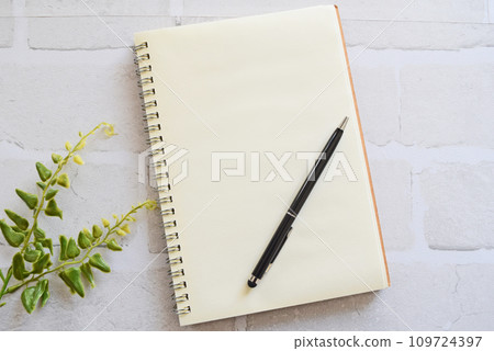 筆記和圓珠筆 筆記和圓珠筆 109724397