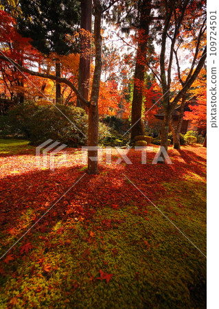 Kyoto Ohara Sanzenin Kyoto Ohara Sanzenin 109724501