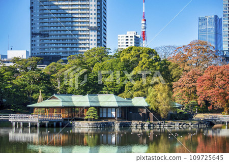 Tokyo, Hamarikyu Gardens, Nakajima Tea House, Autumn leaves and tidal pond 109725645
