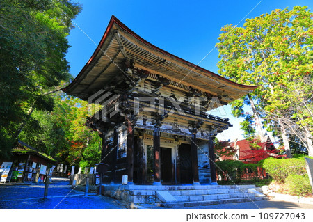 [Shiga Prefecture] Niomon of Mii-dera Temple (Onjo-ji Temple) on a clear day 109727043