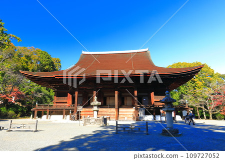 [滋賀縣]晴天的三井寺（溫城寺）近藤 109727052
