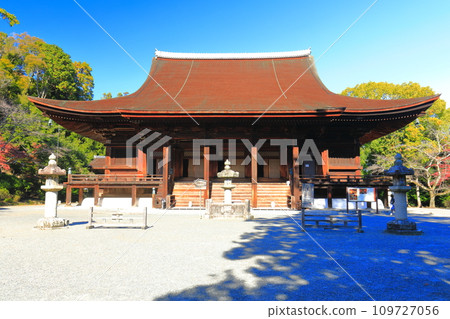 [Shiga Prefecture] Kondo of Mii-dera Temple (Onjo-ji Temple) on a sunny day 109727056