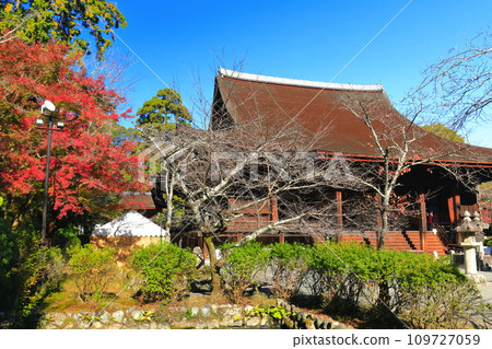 [Shiga Prefecture] Kondo hall and autumn leaves at Miidera Temple (Onjoji Temple) on a clear day 109727059