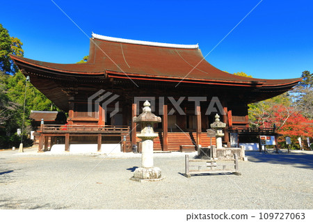 [Shiga Prefecture] Kondo of Mii-dera Temple (Onjo-ji Temple) on a sunny day 109727063