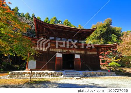 [Shiga Prefecture] The collection of all sutras at Mii-dera Temple (Onjo-ji Temple) on a clear day 109727066
