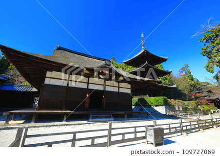 [Shiga Prefecture] Three-storied pagoda of Miidera (Onjoji) on a clear day 109727069