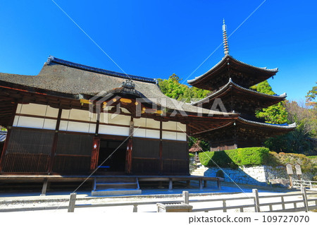 [Shiga Prefecture] Three-storied pagoda of Miidera (Onjoji) on a clear day 109727070
