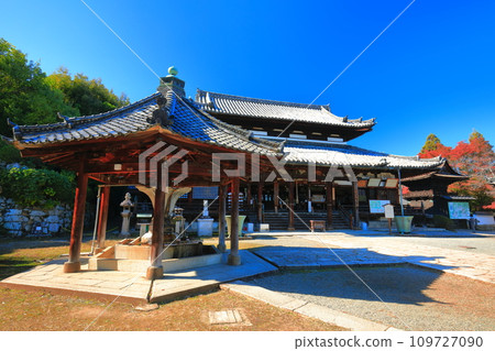 [滋賀縣]晴天時的三井寺（溫城寺）觀音堂 109727090