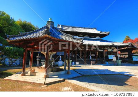 [Shiga Prefecture] Kannon Hall at Mii-dera Temple (Onjo-ji Temple) on a clear day 109727093