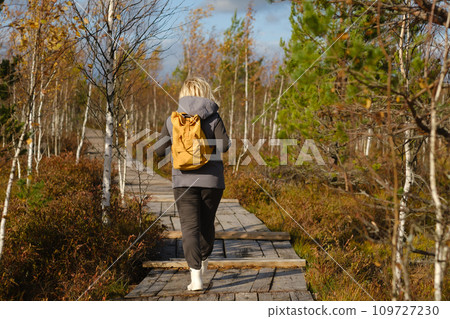 A woman with a backpack walks along a wooden path in a swamp in Yelnya, Belarus 109727230