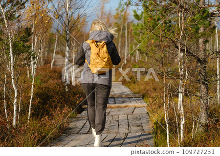 A woman with a backpack walks along a wooden path in a swamp in Yelnya, Belarus 109727231