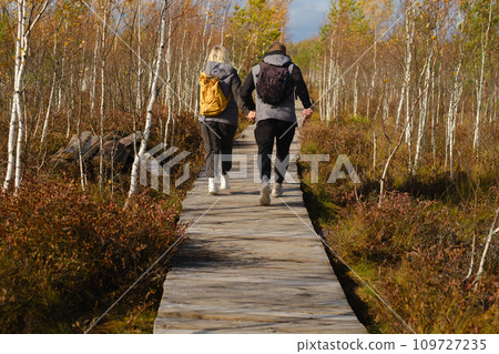 Two tourists walk along a wooden path in a swamp in Yelnya, Belarus 109727235
