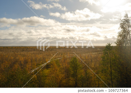 An aerial view of an autumn bog in Yelnya, Belarus, autumn. Ecosystems ecological problems climate change 109727364