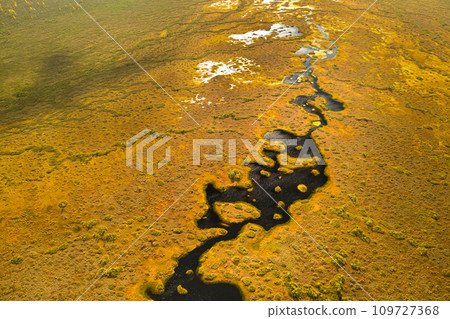 An aerial view of an autumn bog in Yelnya, Belarus, autumn. Ecosystems ecological problems climate change 109727368