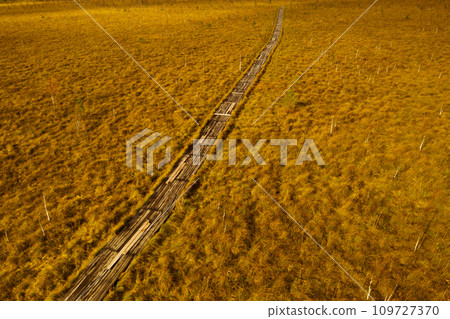 An aerial view of an autumn bog in Yelnya, Belarus, autumn. Ecosystems ecological problems climate change 109727370