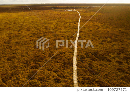 An aerial view of an autumn bog in Yelnya, Belarus, autumn. Ecosystems ecological problems climate change 109727371