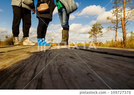 People in boots walk along a wooden path in a swamp in Yelnya, Belarus People in boots walk along a wooden path in a swamp in Yelnya, Belarus 109727378
