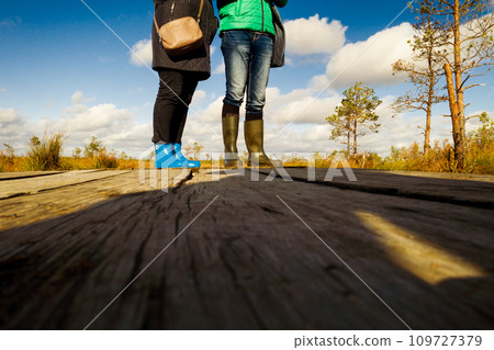 People in boots walk along a wooden path in a swamp in Yelnya, Belarus 109727379