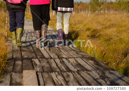 People in boots walk along a wooden path in a swamp in Yelnya, Belarus 109727380