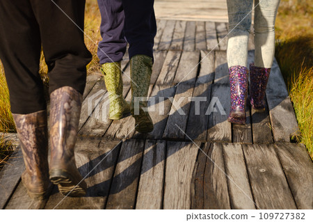 People in boots walk along a wooden path in a swamp in Yelnya, Belarus 109727382