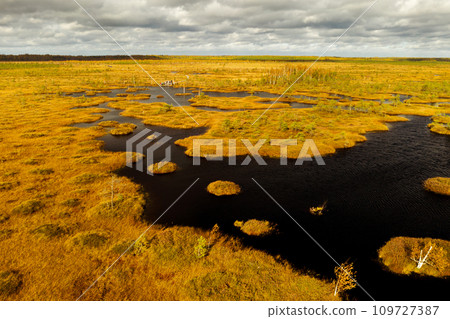 An aerial view of an autumn bog in Yelnya, Belarus, autumn. Ecosystems ecological problems climate change 109727387