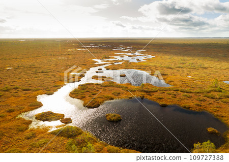 An aerial view of an autumn bog in Yelnya, Belarus, autumn. Ecosystems ecological problems climate change 109727388