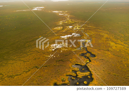 An aerial view of an autumn bog in Yelnya, Belarus, autumn. Ecosystems ecological problems climate change 109727389