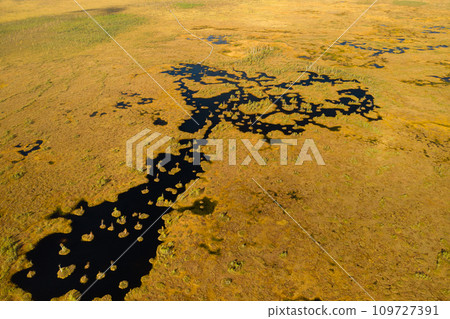 An aerial view of an autumn bog in Yelnya, Belarus, autumn. Ecosystems ecological problems climate change 109727391