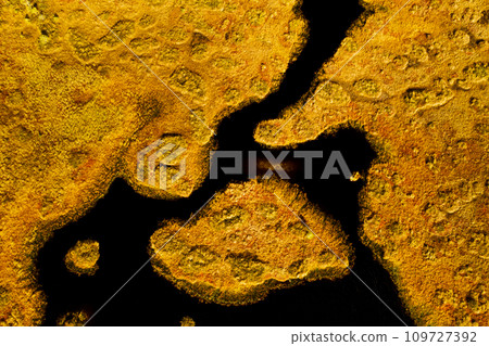 An aerial view of an autumn bog in Yelnya, Belarus, autumn. Ecosystems ecological problems climate change 109727392