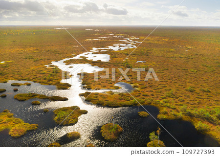 An aerial view of an autumn bog in Yelnya, Belarus, autumn. Ecosystems ecological problems climate change 109727393