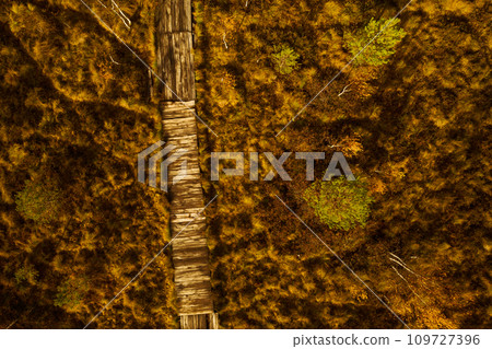 An aerial view of an autumn bog in Yelnya, Belarus, autumn. Ecosystems ecological problems climate change An aerial view of an autumn bog in Yelnya, Belarus, autumn. Ecosystems ecological problems climate change 109727396