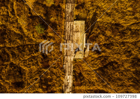 An aerial view of an autumn bog in Yelnya, Belarus, autumn. Ecosystems ecological problems climate change 109727398