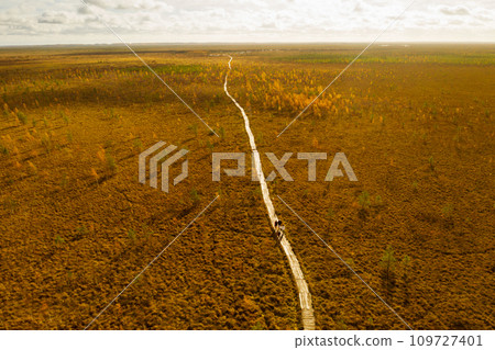 An aerial view of an autumn bog in Yelnya, Belarus, autumn. Ecosystems ecological problems climate change An aerial view of an autumn bog in Yelnya, Belarus, autumn. Ecosystems ecological problems climate change 109727401