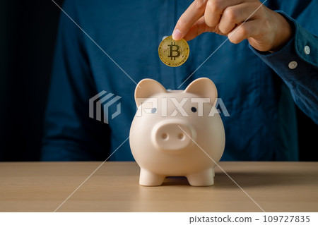 Saving Bitcoin cryptocurrency the future financial. Businessman holding bitcoin coin with piggy bank for virtual digital money and investment concept. Saving Bitcoin cryptocurrency the future financial. Businessman holding bitcoin coin with piggy bank for virtual digital money and investment concept. 109727835