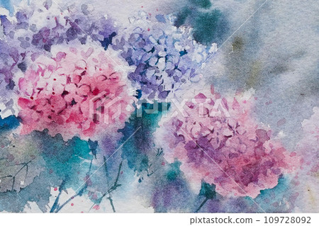 Hydrangea watercolor painting Hydrangea watercolor painting 109728092