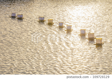 夕陽下的水燈 109728129