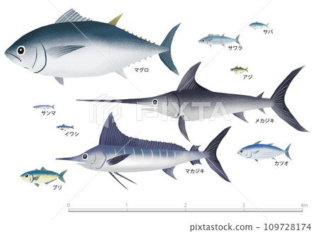 red fish red fish 109728174