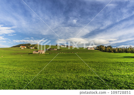 Hilly landscape with farm houses, meadows and pastures in the Swiss canton Appenzell, Switzerland Hilly landscape with farm houses, meadows and pastures in the Swiss canton Appenzell, Switzerland 109728851
