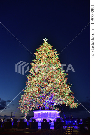 冬天在北海道函館拍攝聖誕奇幻樹 冬天在北海道函館拍攝聖誕奇幻樹 109728991