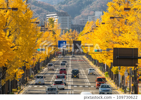 [東京]八王子甲州高速公路沿線的金銀杏樹 109730622