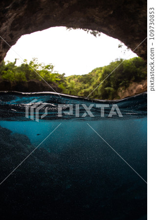 semi-aquatic terrain 109730853