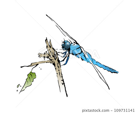 Shiokaratombo 109731141