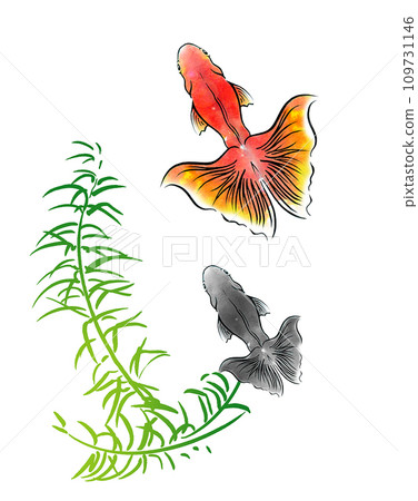 Goldfish 04 Goldfish 04 109731146