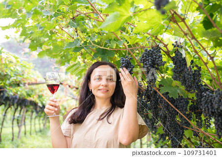 Beautiful woman dreaming tasting red wine enjoying summer stay in vineyards on lovely sunny day Beautiful woman dreaming tasting red wine enjoying summer stay in vineyards on lovely sunny day 109731401