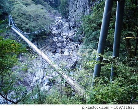 大杉谷（三重縣） 109731685
